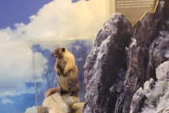 Black Canyon National Park - Delta, Colorado. Adventures of Sir Thomas Oisin Rhymour. Photo copyright by Techno Tink Photography www.technotink.net/photography. (c) 2024: Thomas Baurley.