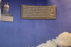Black Canyon National Park - Delta, Colorado. Adventures of Sir Thomas Oisin Rhymour. Photo copyright by Techno Tink Photography www.technotink.net/photography. (c) 2024: Thomas Baurley.