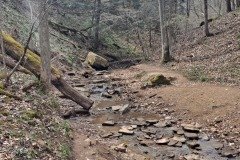 041021-0010-andr-frankfortspring