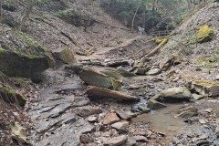 041021-0011-andr-frankfortspring