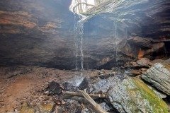 041021-0021-andr-frankfortspring