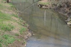 041021-0061-nikon-frankfortspring