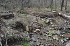 041021-0062-nikon-frankfortspring