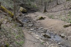 041021-0063-nikon-frankfortspring