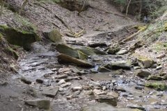 041021-0064-nikon-frankfortspring