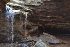 041021-0067-nikon-frankfortspring