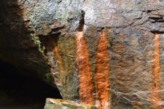 041021-0070-nikon-frankfortspring