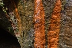 041021-0071-nikon-frankfortspring
