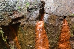 041021-0073-nikon-frankfortspring
