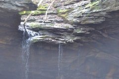 041021-0075-nikon-frankfortspring