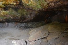 041021-0076-nikon-frankfortspring