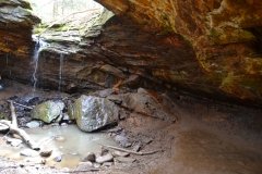 041021-0077-nikon-frankfortspring