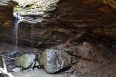 041021-0078-nikon-frankfortspring