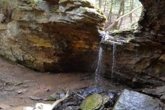 041021-0079-nikon-frankfortspring