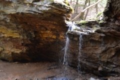 041021-0080-nikon-frankfortspring