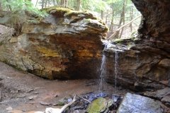 041021-0081-nikon-frankfortspring