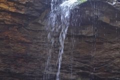 041021-0082-nikon-frankfortspring