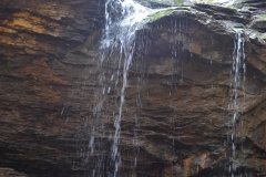 041021-0083-nikon-frankfortspring