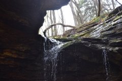 041021-0084-nikon-frankfortspring