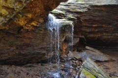 041021-0085-nikon-frankfortspring