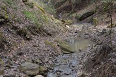 041021-0086-nikon-frankfortspring