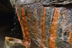 041021-0087-nikon-frankfortspring