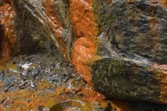 041021-0088-nikon-frankfortspring