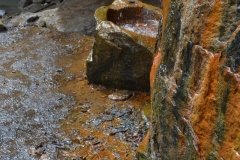 041021-0090-nikon-frankfortspring