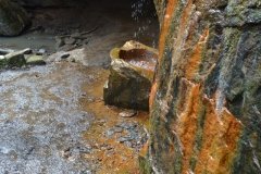 041021-0091-nikon-frankfortspring