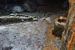 041021-0092-nikon-frankfortspring